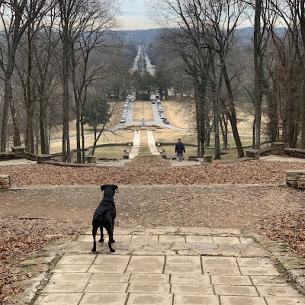 Meet your Posher, Mariya and chi